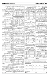 PAGE3