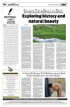 PAGE4