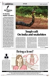 PAGE4