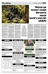 PAGE6