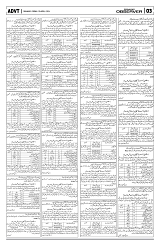 PAGE3