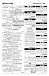 PAGE6