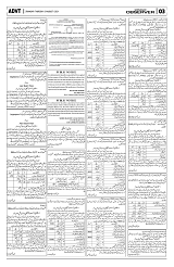 PAGE3