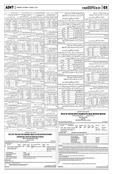 PAGE3