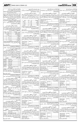 PAGE3