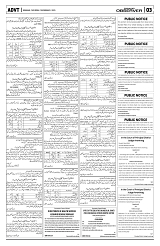 PAGE3