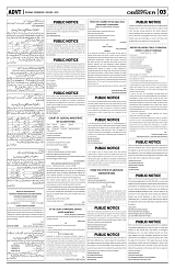 PAGE3