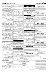 PAGE3