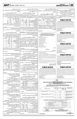 PAGE3