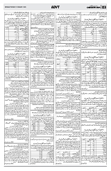 PAGE3