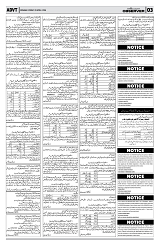 PAGE3
