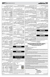 PAGE3