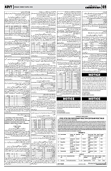 PAGE3
