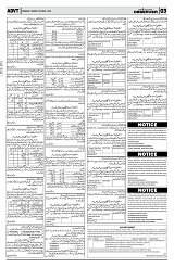 PAGE3